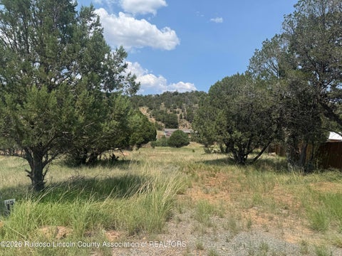 Vacant Land For Sale - 118 Cowboy Court<br/> Alto, NM 88312