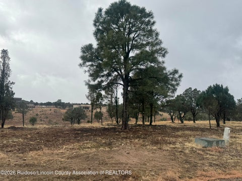 Vacant Land For Sale - 22B-1 Lincoln Hills Drive<br/> Lincoln County, Alto, NM 88312