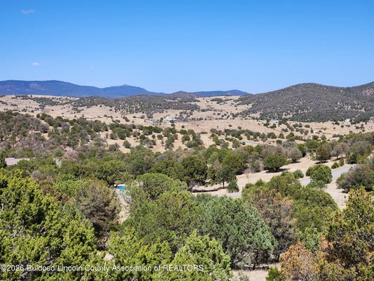 107 CEDAR CREST RD, NOGAL, NM 88341 - Image e76922855cde3e78d79828d9eebb58de/2995248729