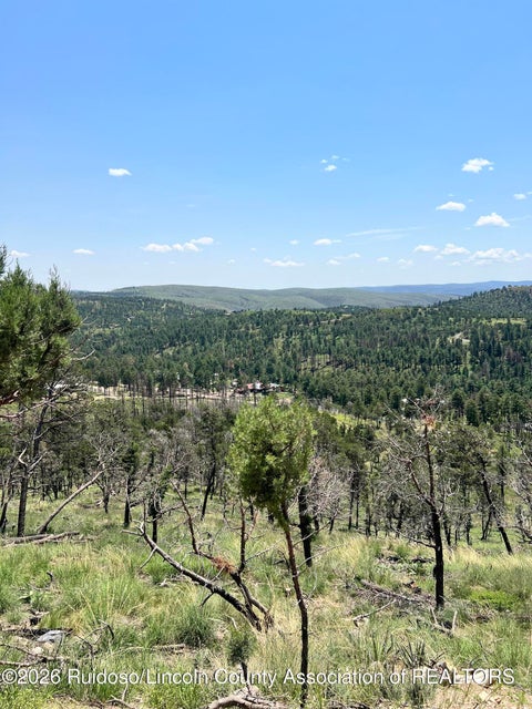 Vacant Land For Sale - 10D Flute Player Way<br/> Alto, NM 88312