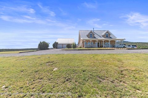 147 Sunset Mesa Road  NM 88341