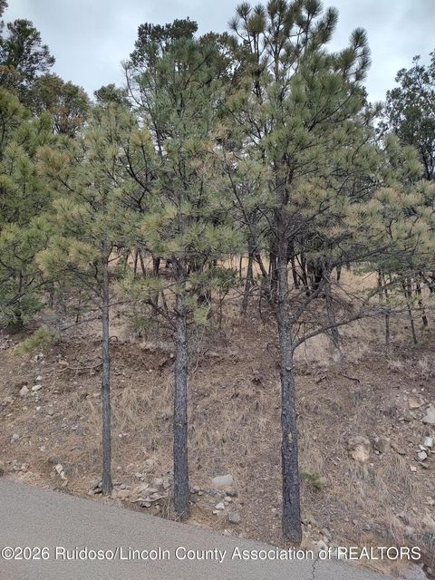 Vacant Land For Sale - 123 Deer Valley Drive<br/> Alto, NM 88312