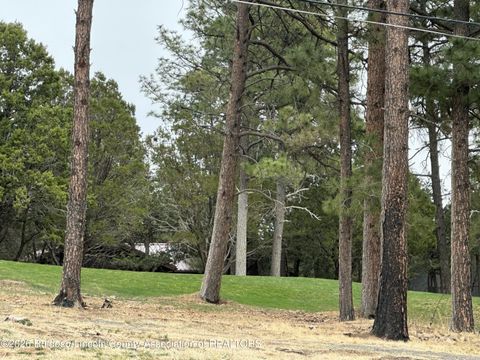 Vacant Land For Sale - 125 Crown Ridge Road<br/> Alto, NM 88312