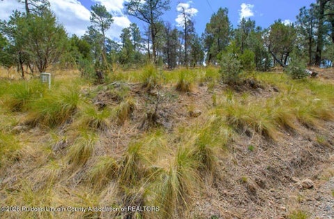 Vacant Land For Sale - LOT 6 Pine Knot Trail<br/> Lincoln County, Alto, NM 88312