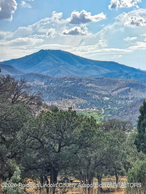 Vacant Land For Sale - LOT 155 Sandesta<br/> Alto, NM 88312