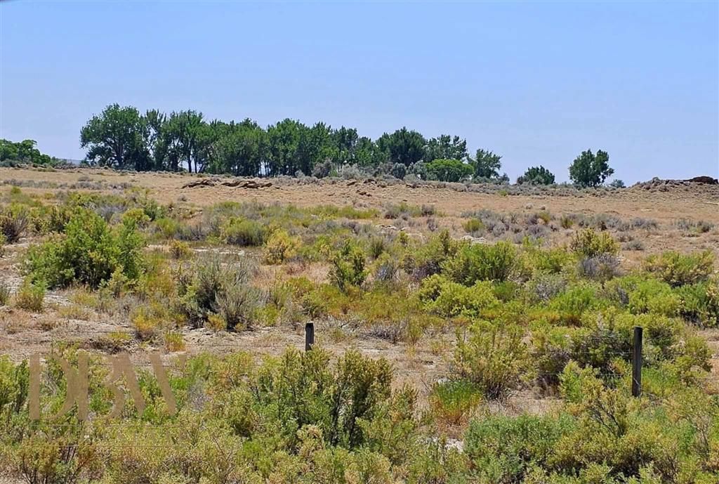 Photo of TBD Hwy 295, Powell, WY 82435 (MLS # 10031477)