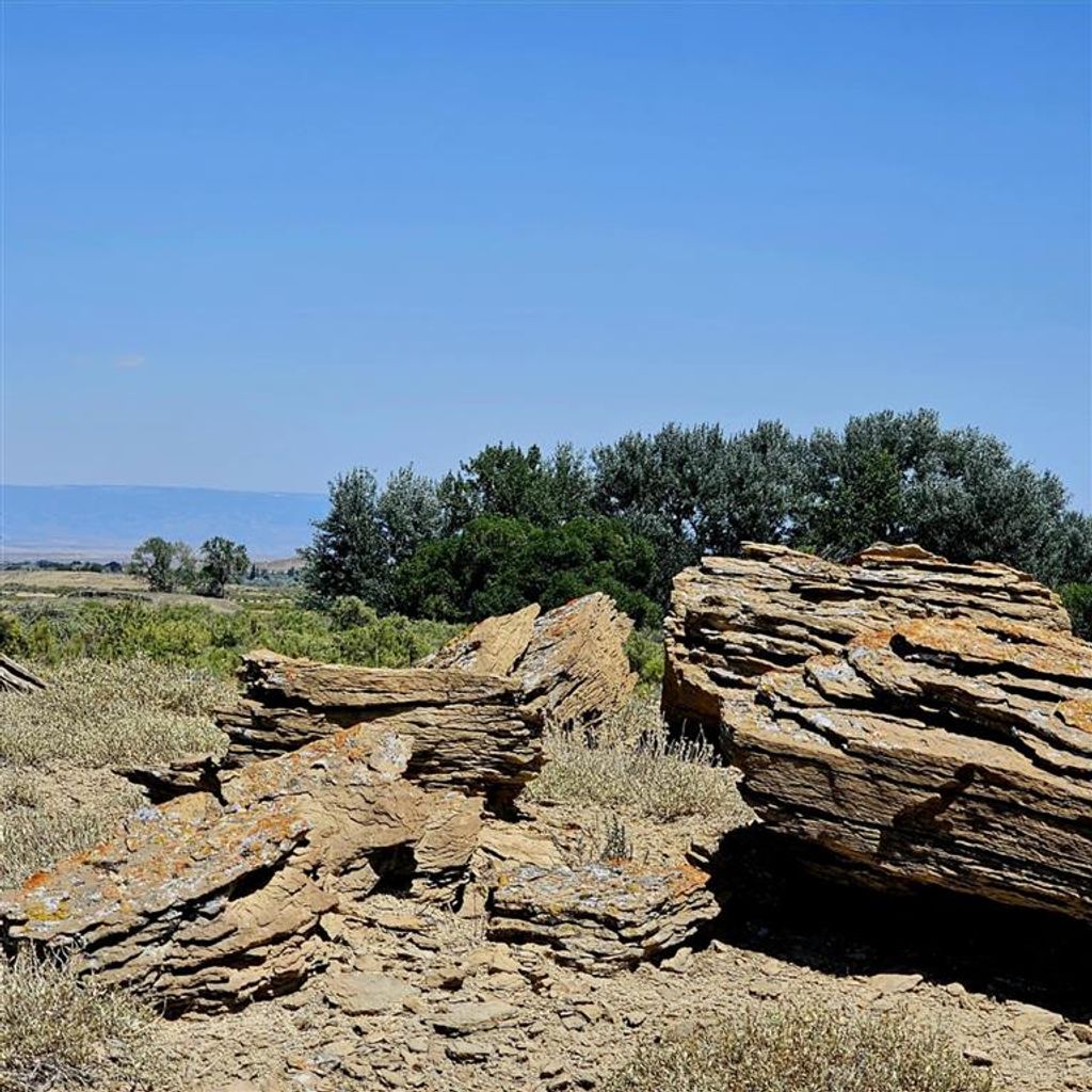 Photo of TBD Hwy 295, Powell, WY 82435 (MLS # 10031477)