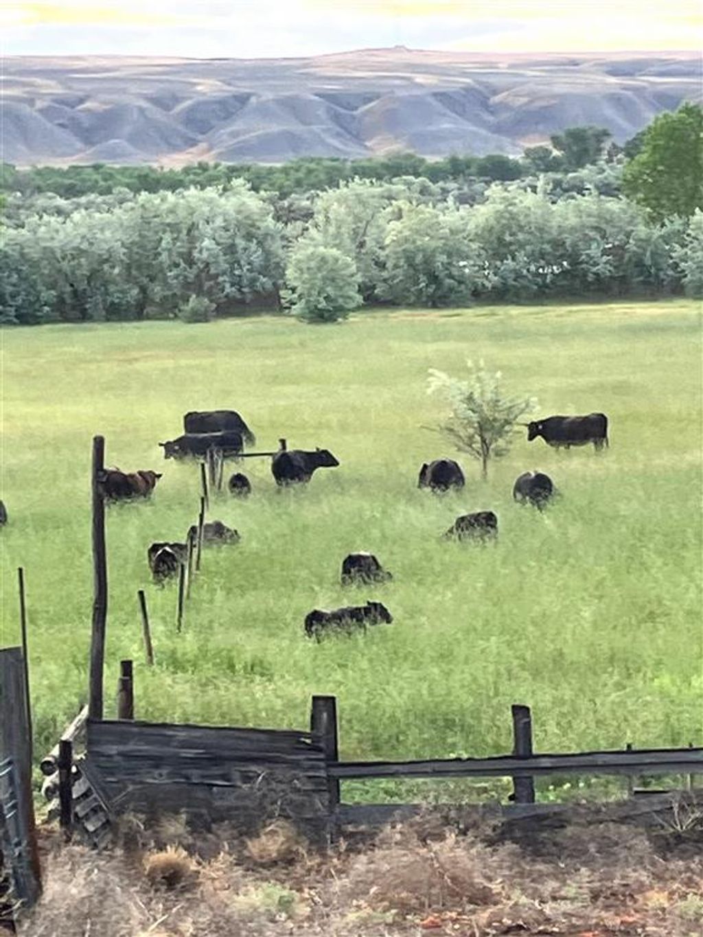 Photo of 4127 Golf Course Rd, Basin, WY 82410 (MLS # 10031846)