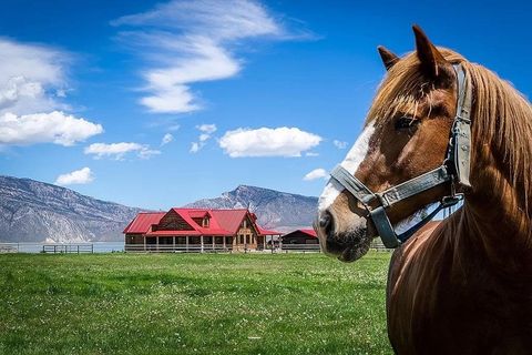 Tiny photo for 41 Carter Mountain Rd, Cody, WY 82414 (MLS # 10030436)