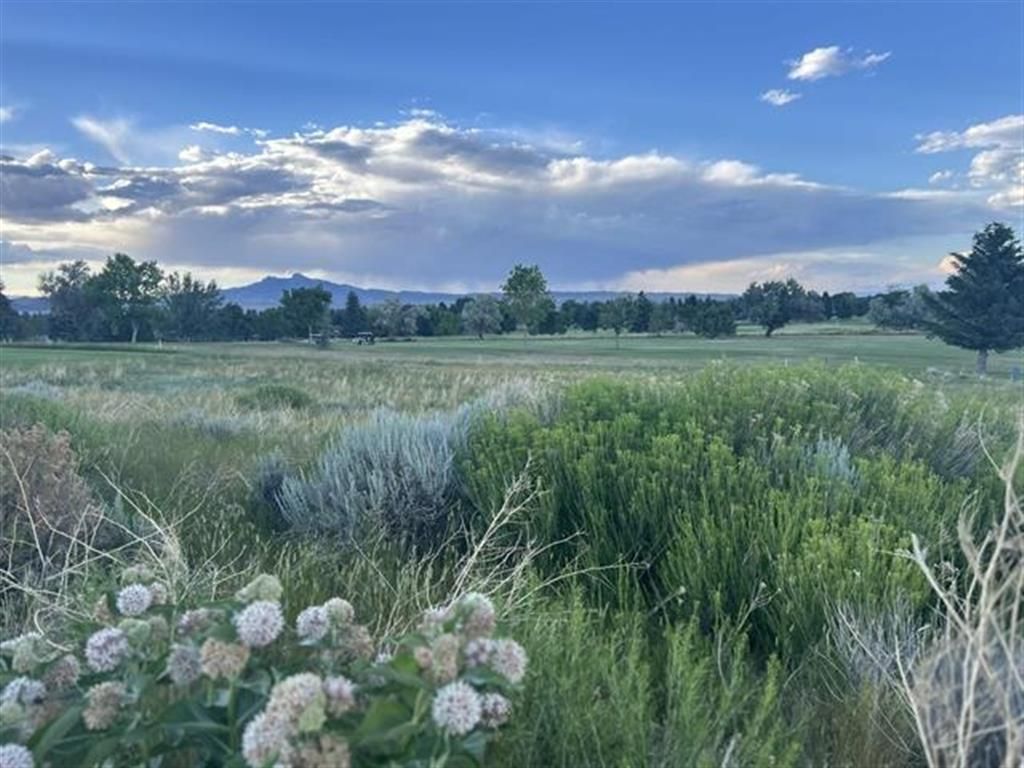 Photo of 714 &amp; 720 Olive Glenn Dr #48 &amp; 49, Cody, WY 82414 (MLS # 10031817)