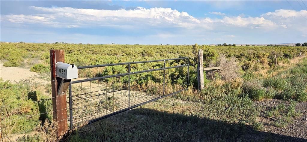 Photo of 1025 Road 7, Powell, WY 82435 (MLS # 10031534)