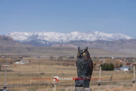 Tiny photo for 16 Caddis Ln, Cody, WY 82414 (MLS # 10031130)