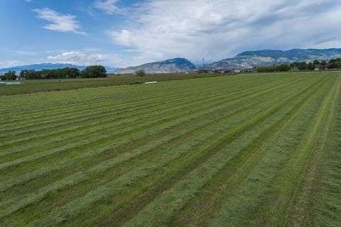 Tiny photo for TBD Hitching Post Dr, Cody, WY 82414 (MLS # 10031418)