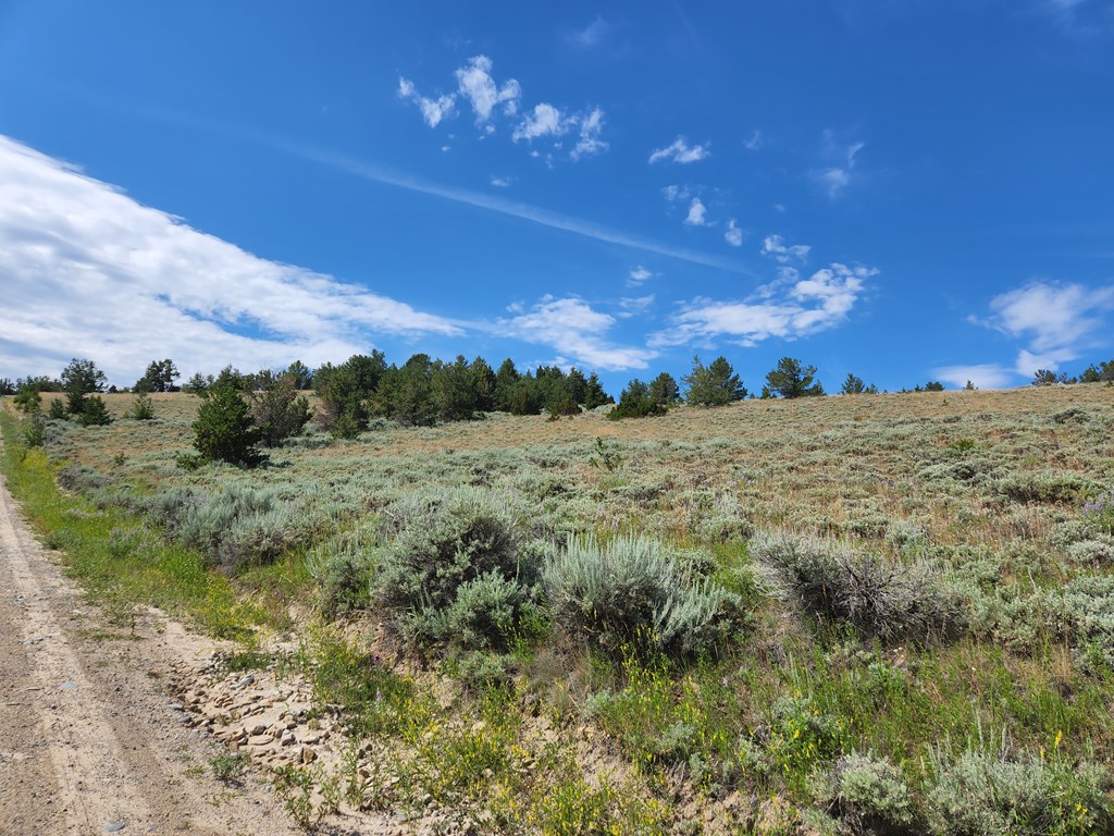 Meeteetse, Wyoming 82433, United States, ,Land,Pending,71657