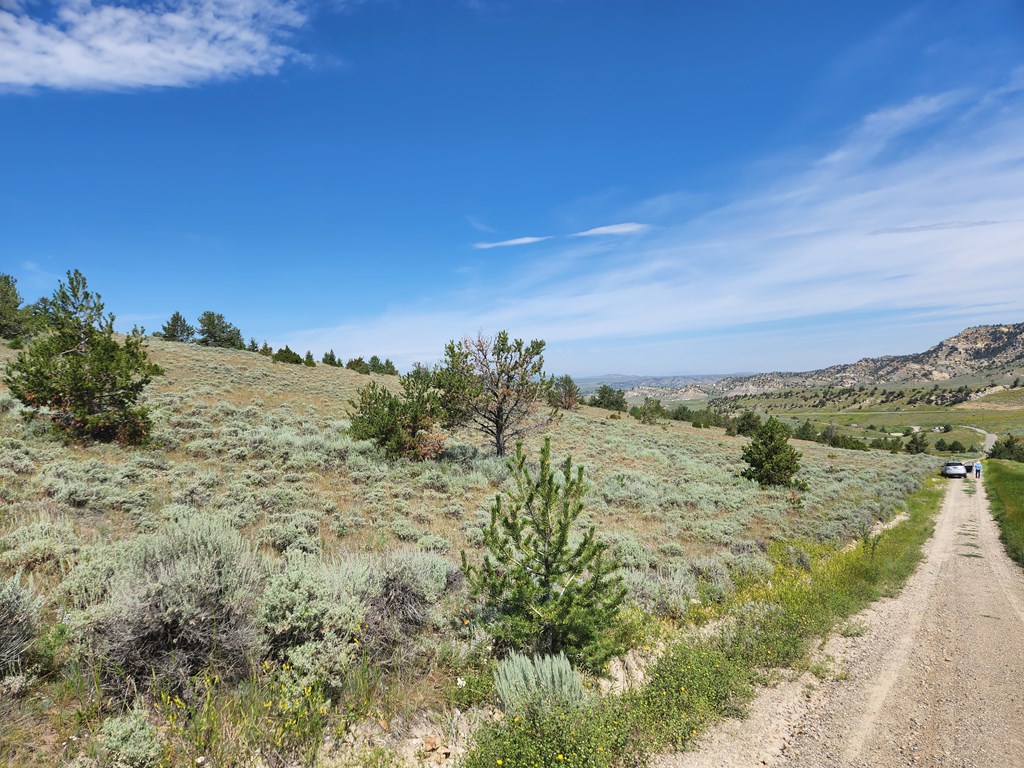 Meeteetse, Wyoming 82433, United States, ,Land,Pending,71657