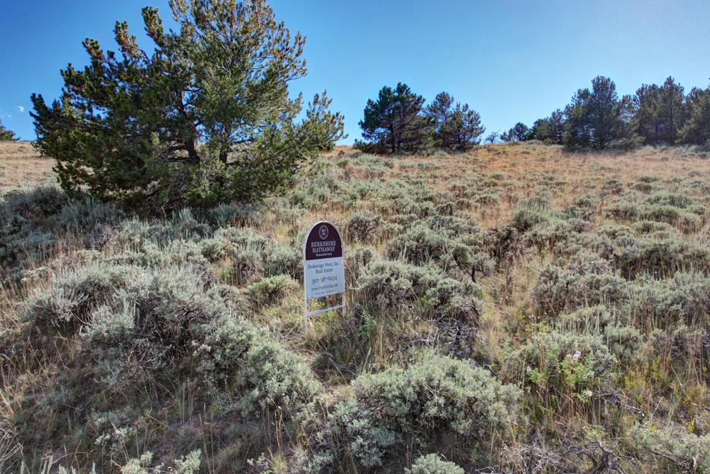 Meeteetse, Wyoming 82433, United States, ,Land,Pending,71657