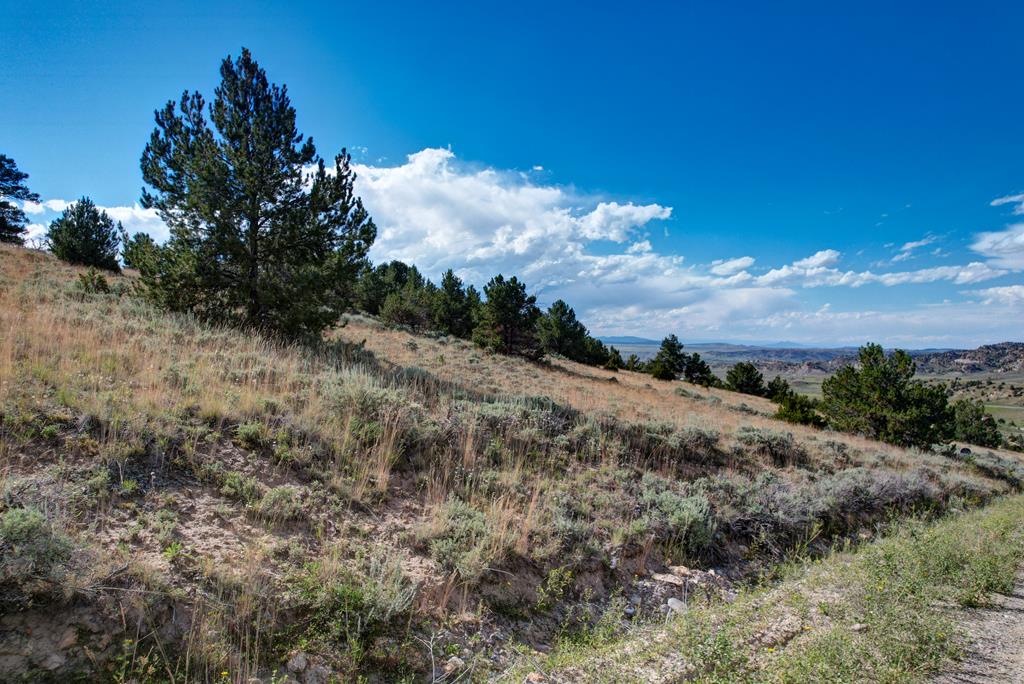 Meeteetse, Wyoming 82433, United States, ,Land,Pending,71657