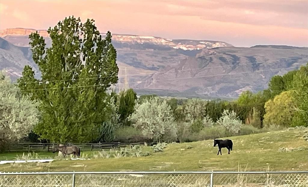 Photo of 850 Hwy 14 E, Greybull, WY 82426 (MLS # 10031785)