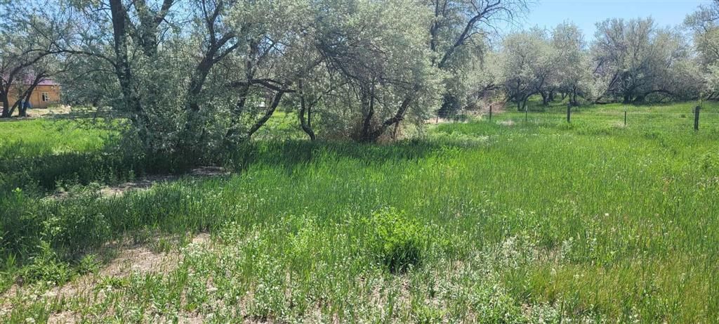 Photo of 216 Lane 9, Powell, WY 82435 (MLS # 10031947)