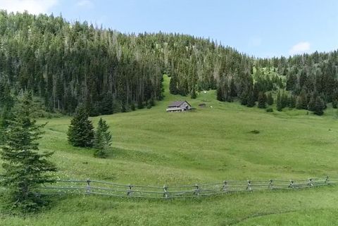 Photo of 71 Painter Rd, Cody, WY 82414 (MLS # 10031571)