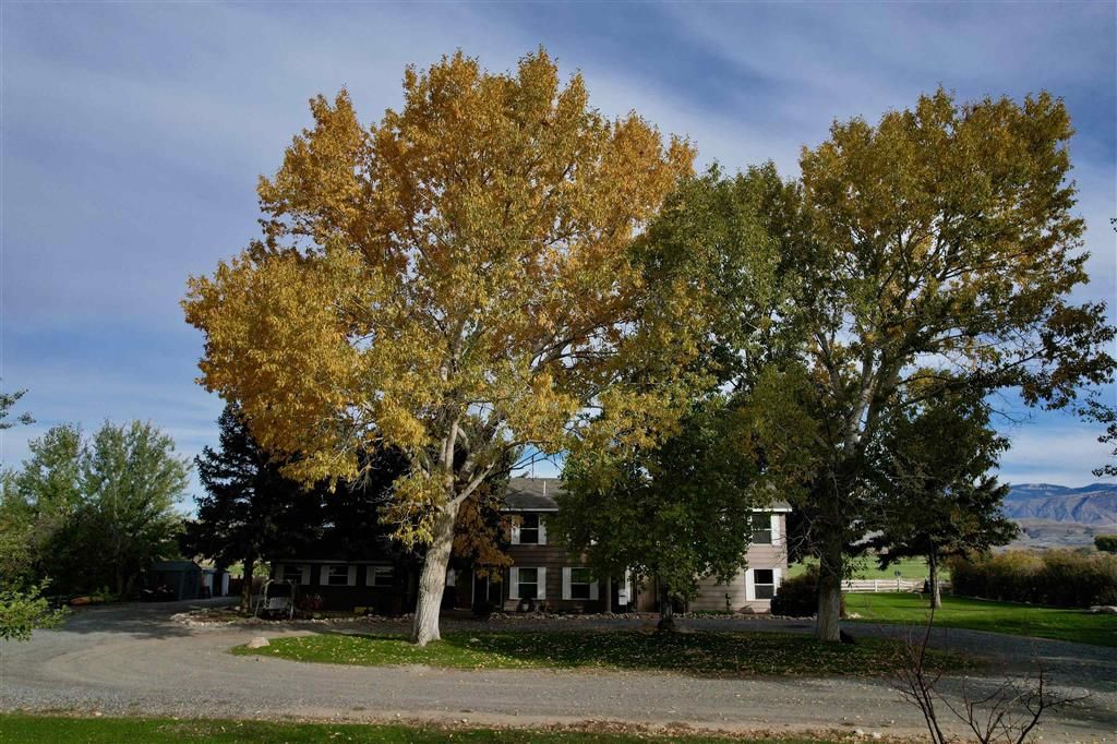 Photo of 969 Hwy 14, Shell, WY 82441 (MLS # 10031823)