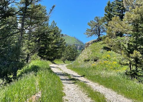 Tiny photo for 2978 Hwy 296, Cody, WY 82414 (MLS # 10019286)