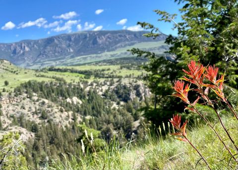 Tiny photo for 2978 Hwy 296, Cody, WY 82414 (MLS # 10019286)