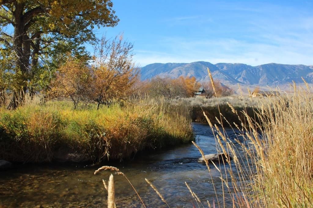 Photo of 52 Road 8UC, Powell, WY 82435 (MLS # 10031784)