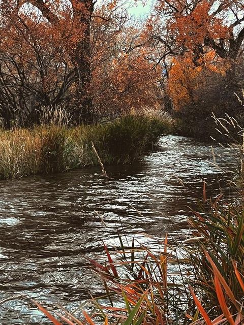 Tiny photo for 52 Road 8UC, Clark, WY 82435 (MLS # 10031784)