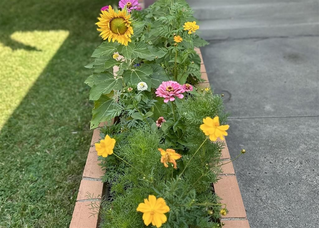 Photo of 614 19th St, Cody, WY 82414 (MLS # 10031895)