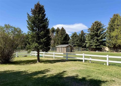 Tiny photo for 221 44th St N St, Cody, WY 82414 (MLS # 10032355)