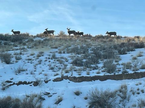 Tiny photo for 850 Hwy 14 E, Greybull, WY 82426 (MLS # 10031013)