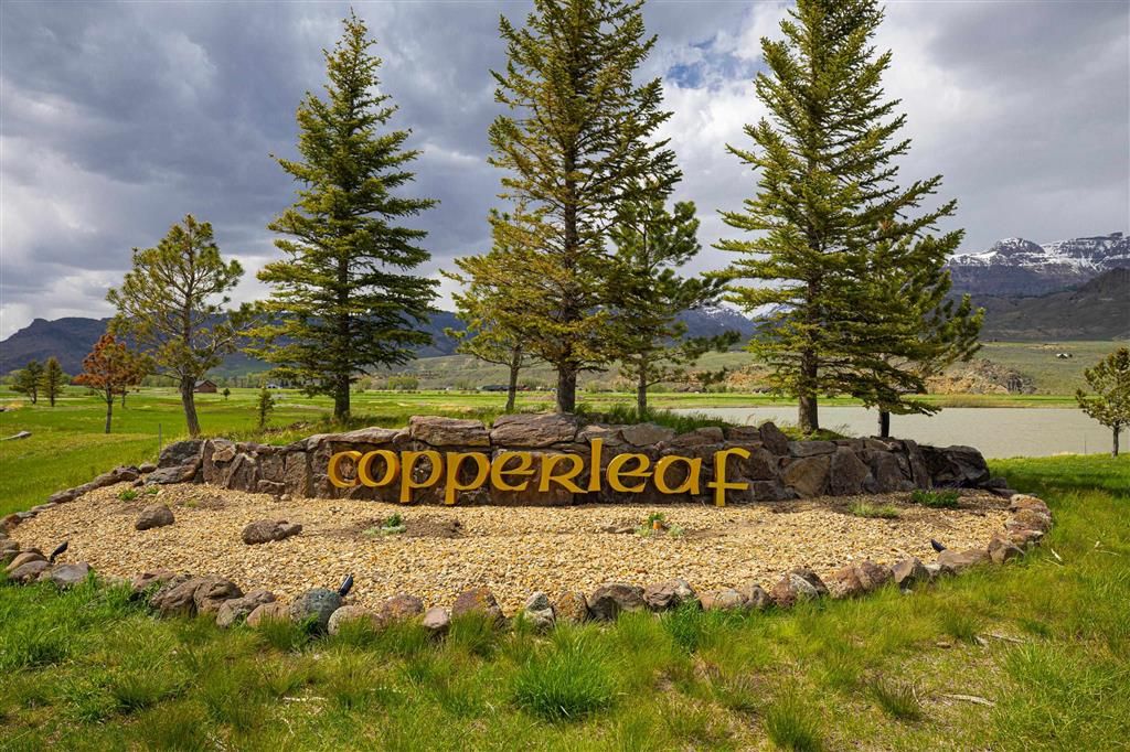 Photo of 58 Big Creek Dr, Cody, WY 82414 (MLS # 10031557)
