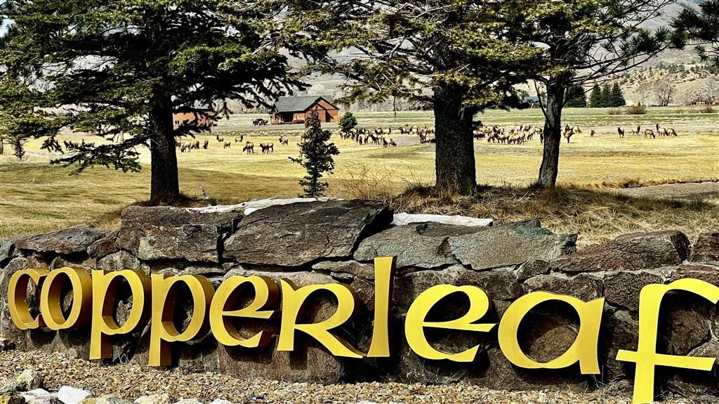 Photo of 58 Big Creek Dr, Cody, WY 82414 (MLS # 10031557)