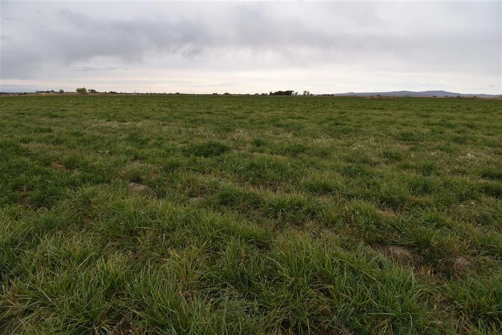 Photo of TBD Lane 7 #Lot 2, Powell, WY 82435 (MLS # 10030664)