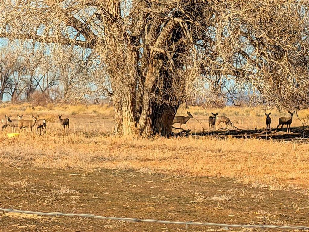 Photo of TBD Lane 14 Lane 14, Powell, WY 82435 (MLS # 10032035)