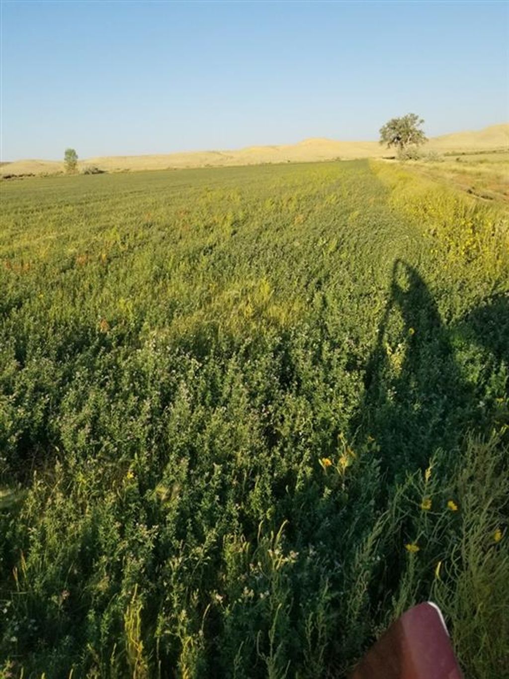 Photo of 359 Lane 7 1/2, Deaver, WY 82421 (MLS # 10021403)