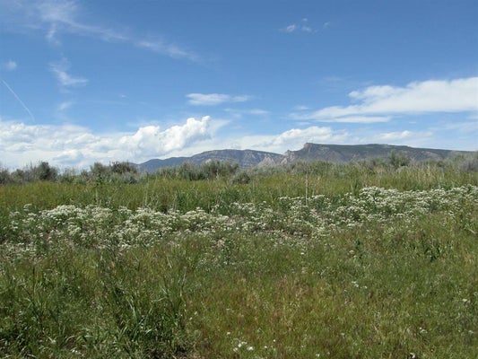 143 S FORK RD, CODY, WY 82414 - Image bdbcfd7d6d99bd608540ccfc9b4e1c08/1927496505