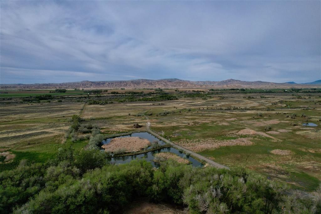 Photo of 1002 Lane 11 1/2, Powell, WY 82435 (MLS # 10032409)