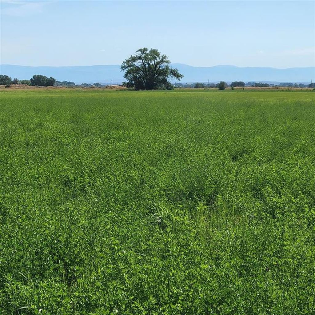 Photo of TBD Road 9, Powell, WY 82435 (MLS # 10032313)