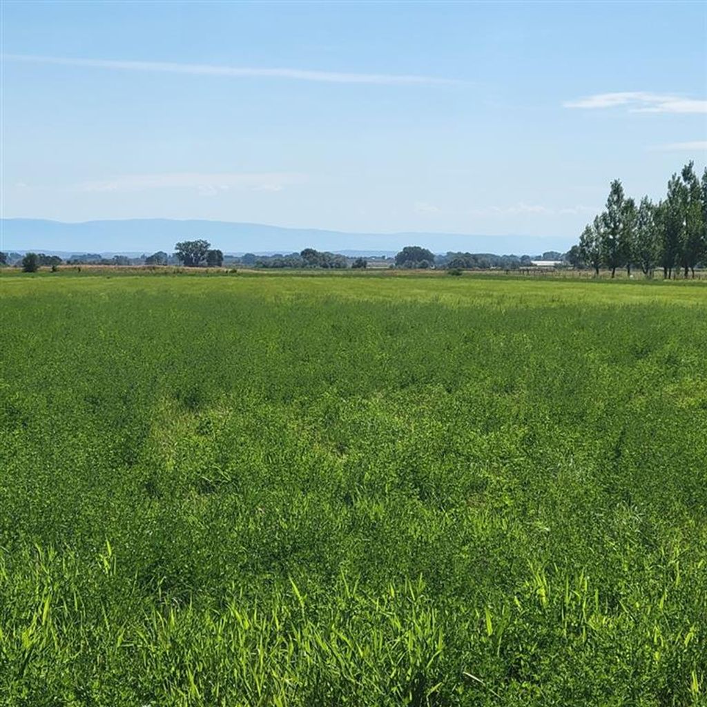 Photo of TBD Road 9, Powell, WY 82435 (MLS # 10032313)