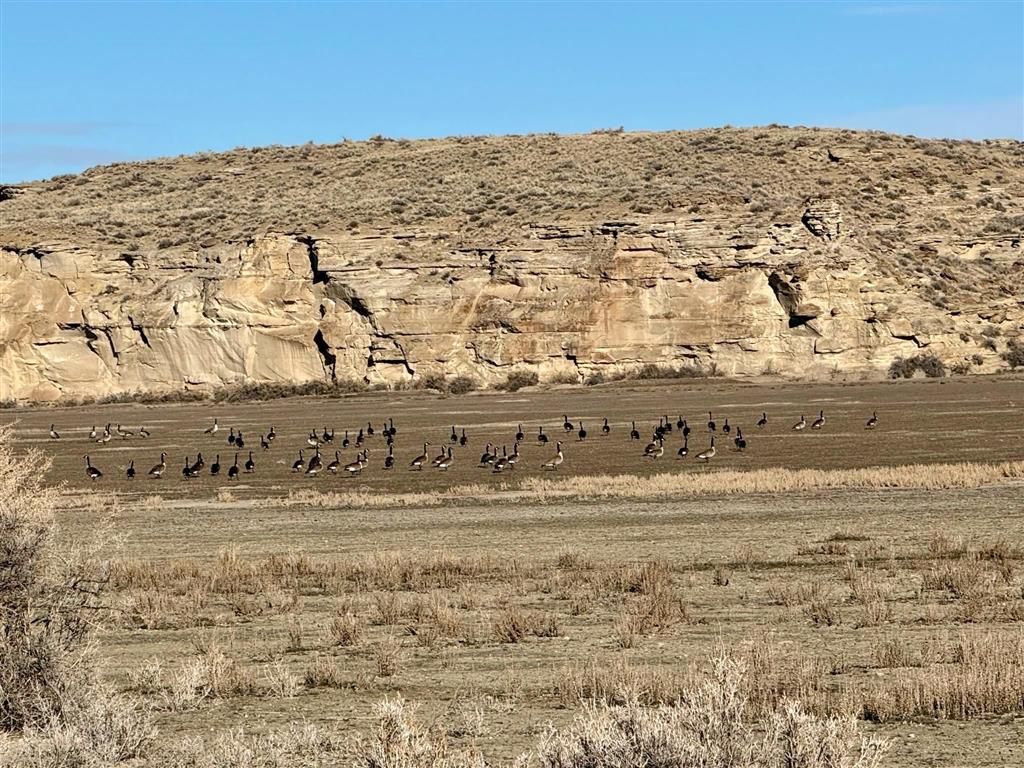 Photo of 3824 Basin Gardens Rd, Basin, WY 82410 (MLS # 10032212)