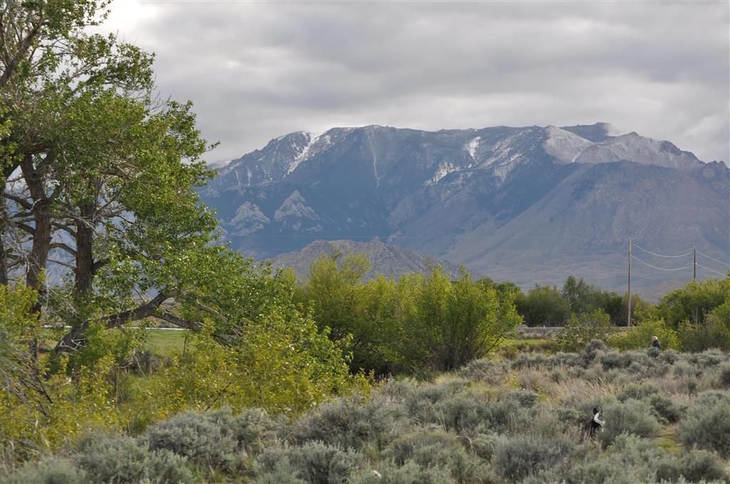 Photo of 52 Road 8UC, Clark, WY 82435 (MLS # 10032105)