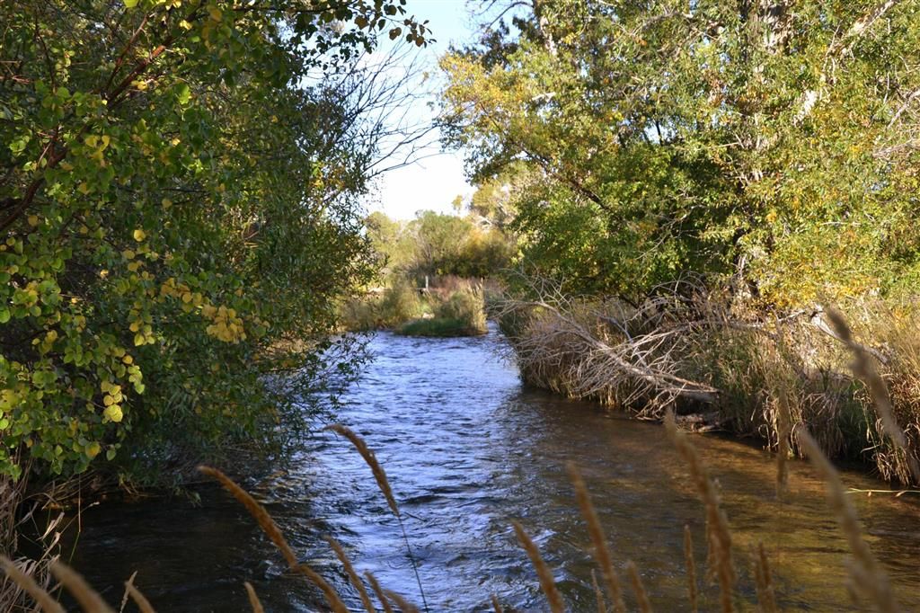 Photo of 52 Road 8UC, Clark, WY 82435 (MLS # 10032105)