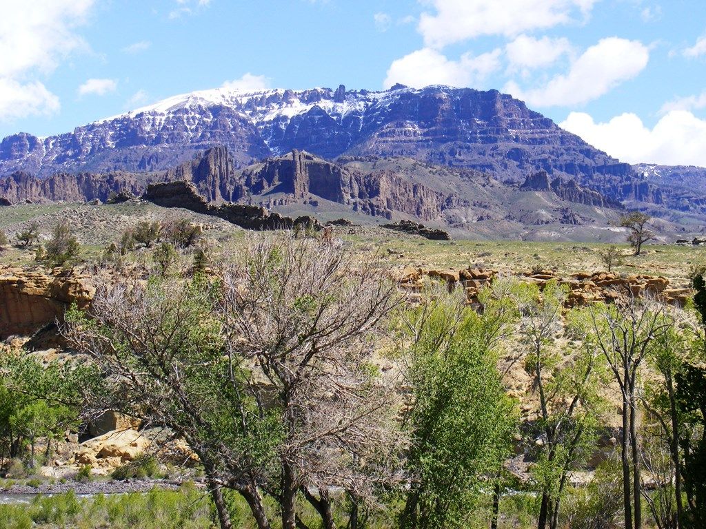 Photo of 50 Stillwater Dr #108, Cody, WY 82414 (MLS # 10031105)