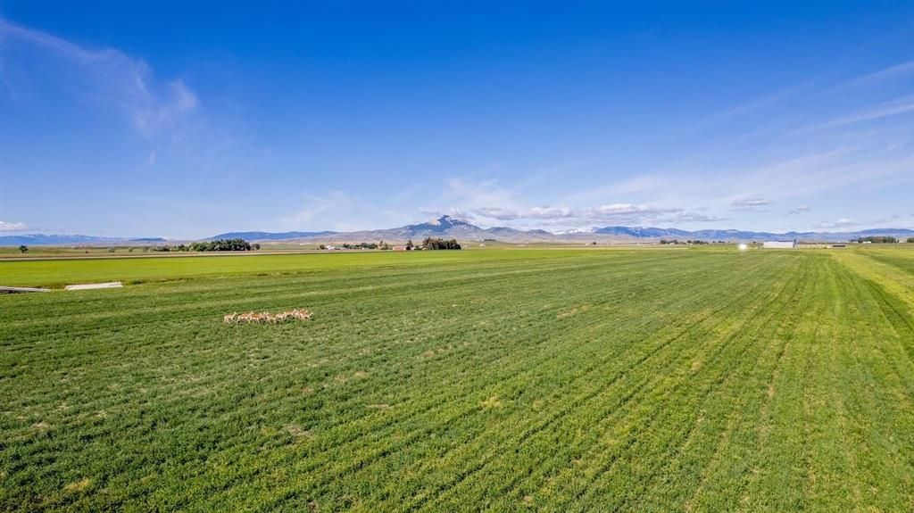 Photo of TBD Road 20 #Lot 1, Powell, WY 82435 (MLS # 10031415)