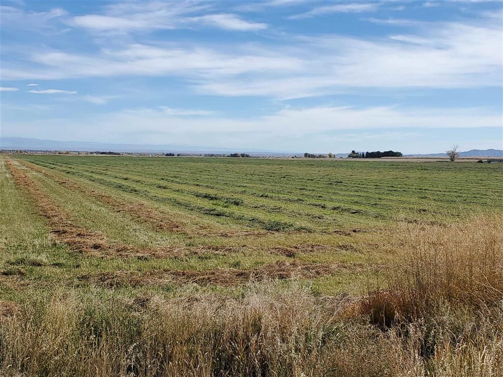 Photo of 1053 Hwy 294, Powell, WY 82435 (MLS # 10031805)