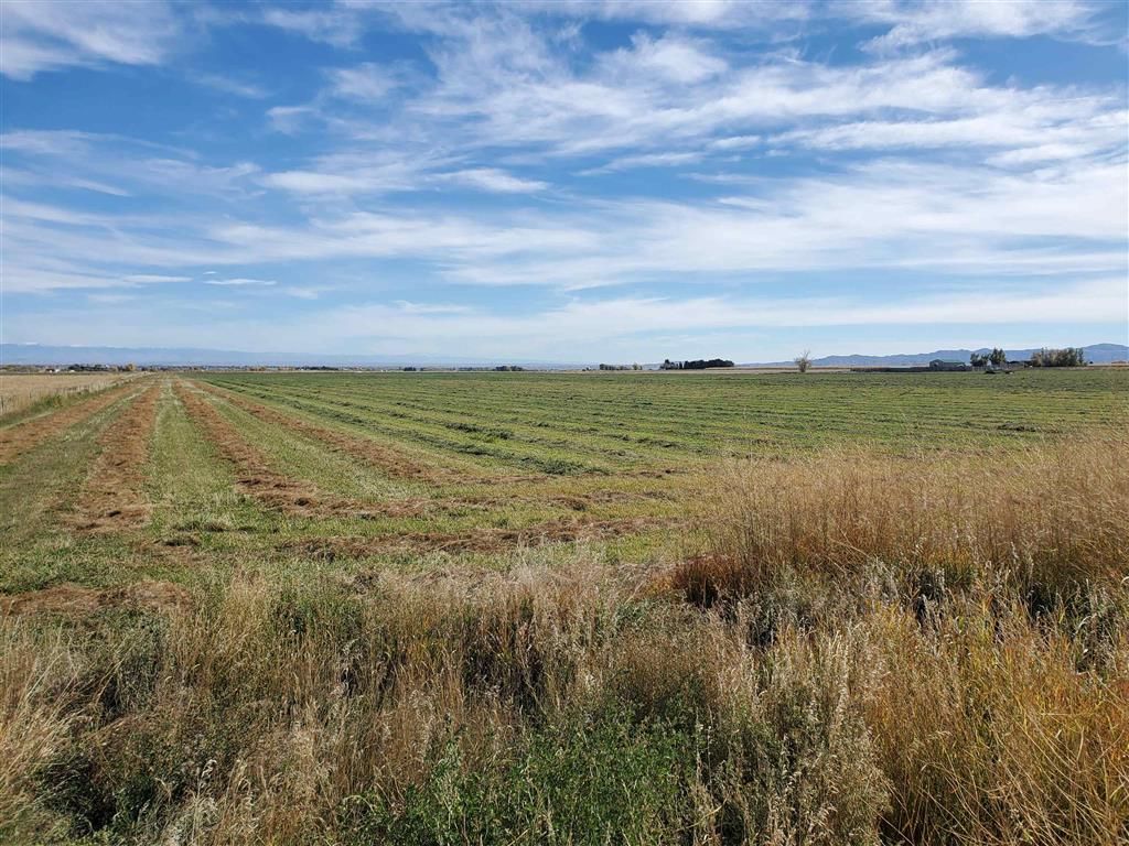 Photo of 1053 Hwy 294, Powell, WY 82435 (MLS # 10031805)