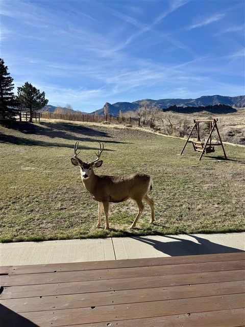 Tiny photo for 65 Trinity Pass #A, Cody, WY 82414 (MLS # 10031810)