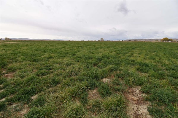 10 4TH LN W, DEAVER, WY 82421 - Image fcf3fd39ef37621b22f7797222849bde/1410749096